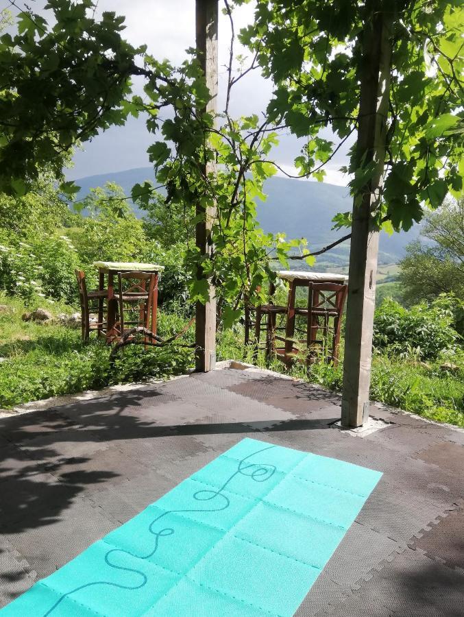Le Ginestre Guesthouse אסיסי מראה חיצוני תמונה
