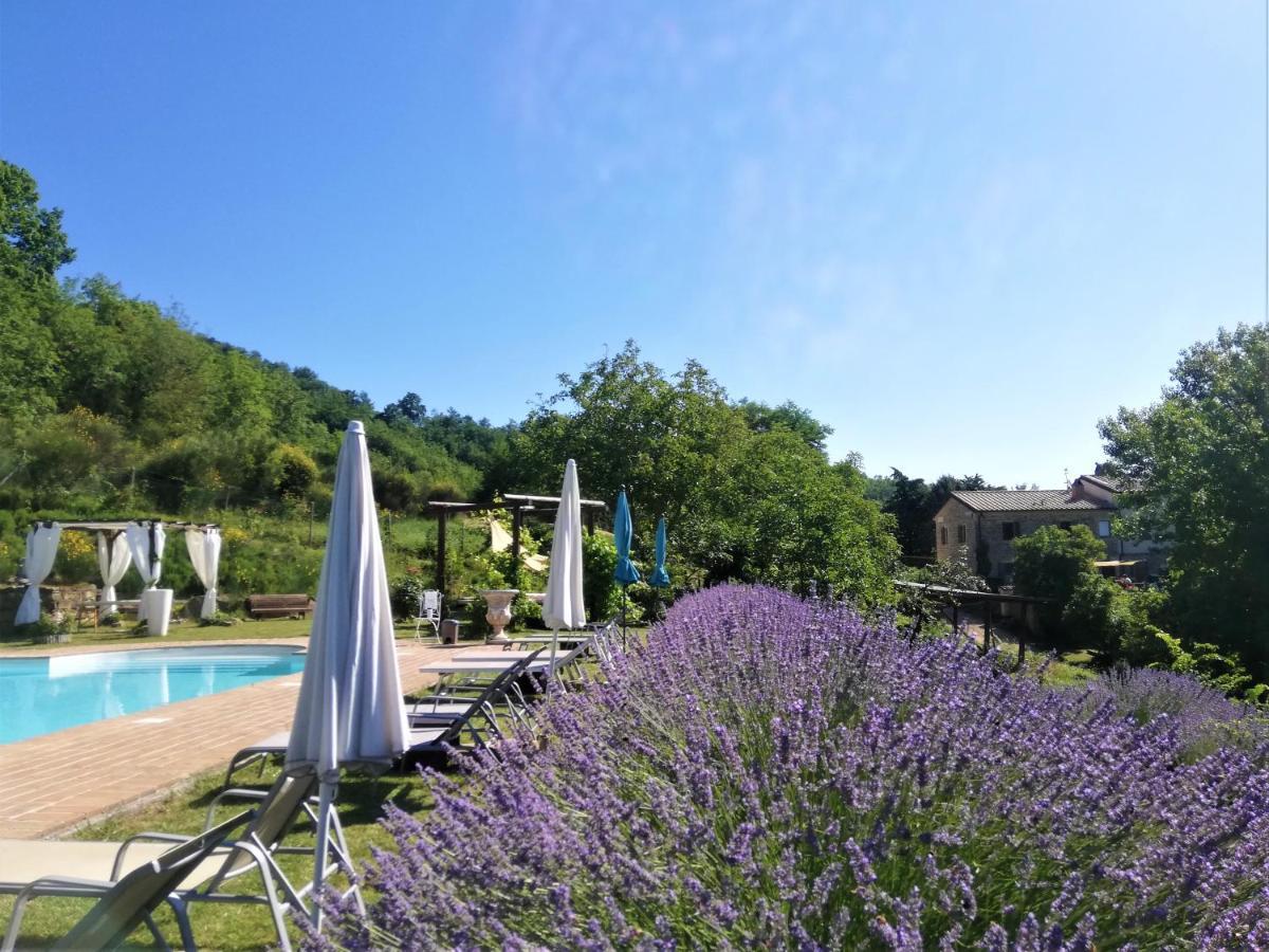 Le Ginestre Guesthouse אסיסי מראה חיצוני תמונה