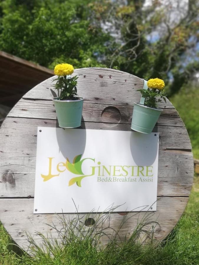 Le Ginestre Guesthouse אסיסי מראה חיצוני תמונה