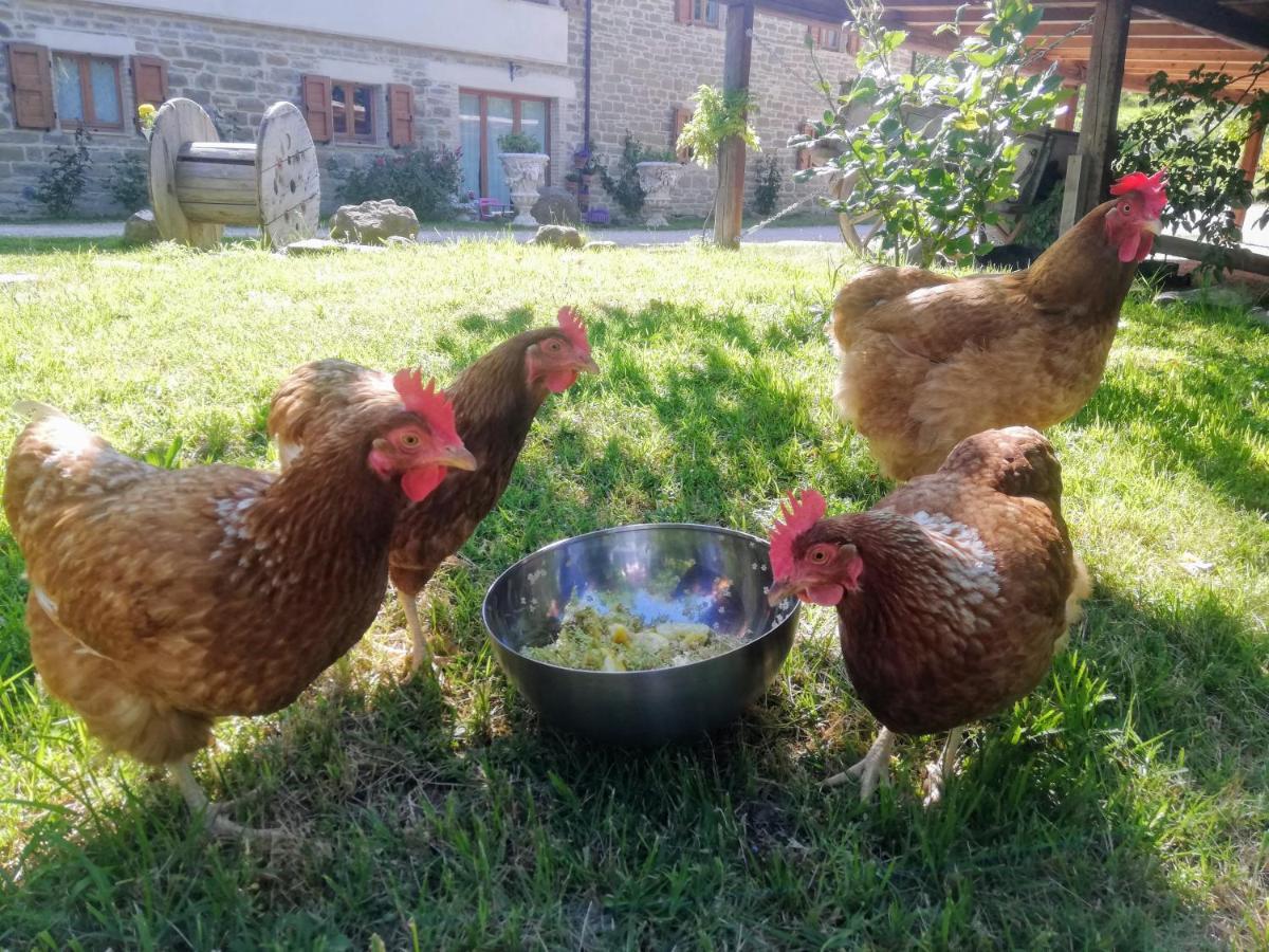 Le Ginestre Guesthouse אסיסי מראה חיצוני תמונה