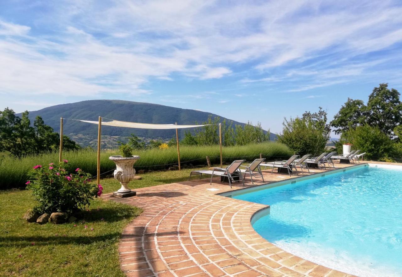 Le Ginestre Guesthouse אסיסי מראה חיצוני תמונה