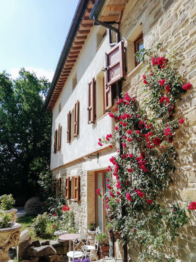 Le Ginestre Guesthouse אסיסי מראה חיצוני תמונה